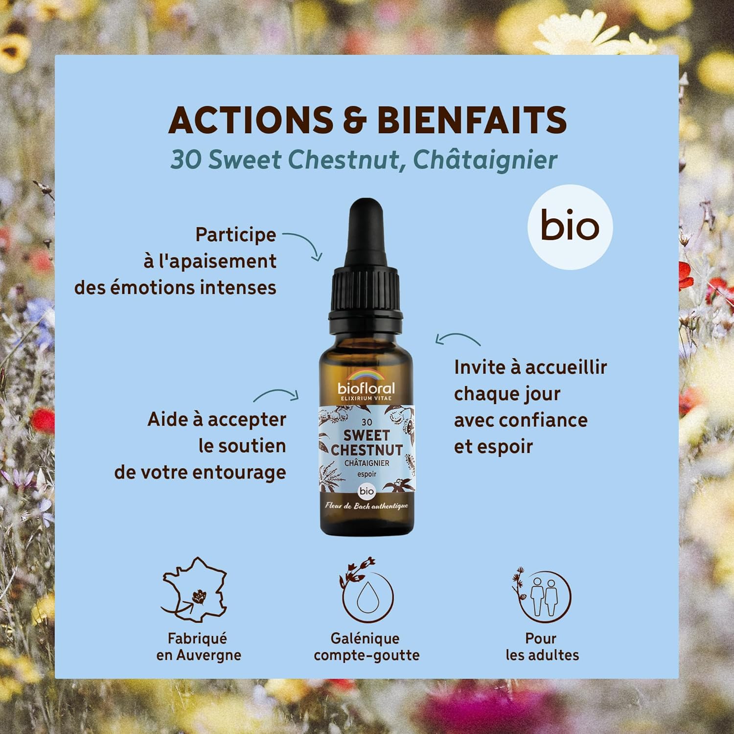 30 Sweet Chestnut, Châtaignier BIO DEMETER - Espoir - Fleur de Bach Authentique - Compte-gouttes 20 ML