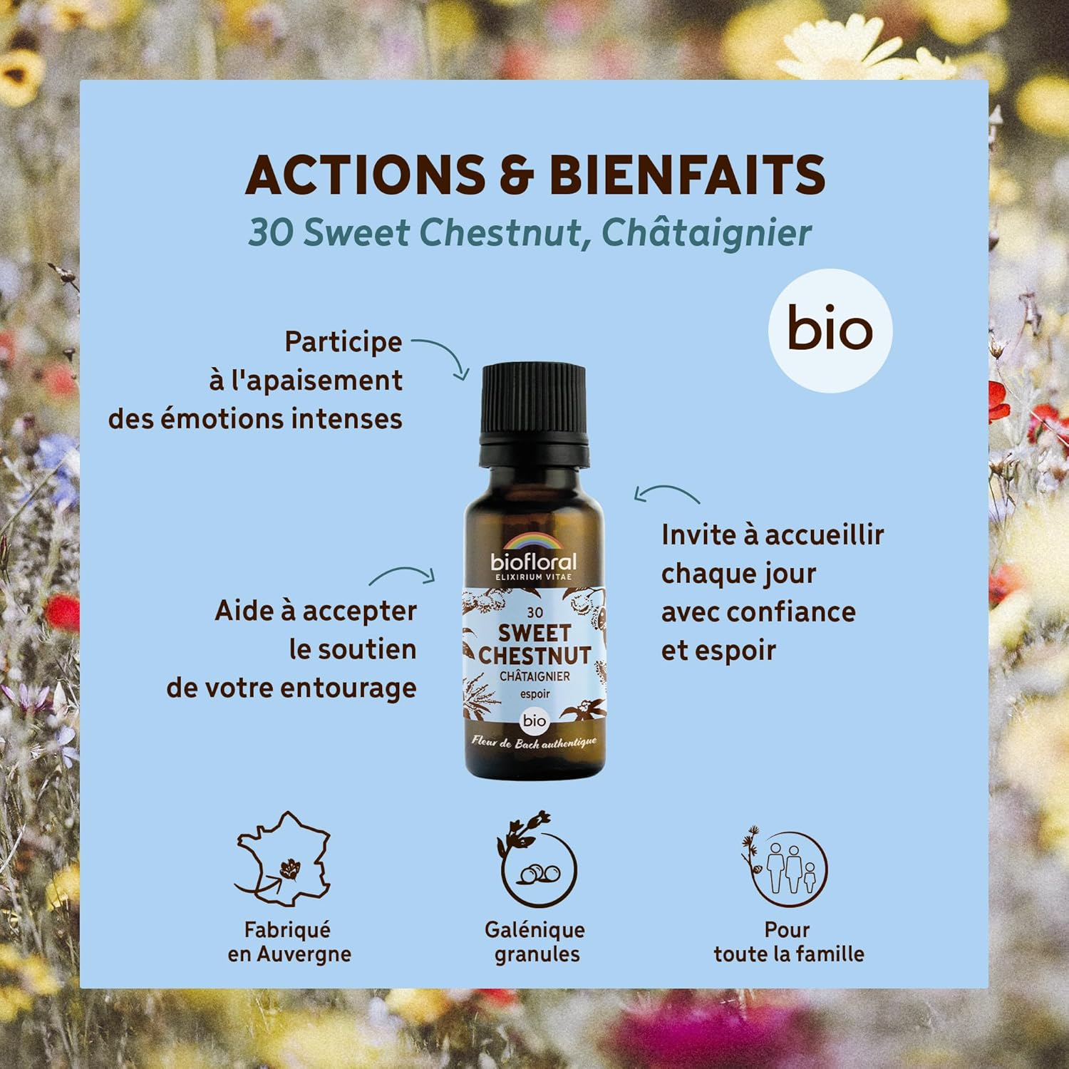 30 Sweet Chestnut, Châtaignier BIO - Espoir - Fleur de Bach Authentique - 470 Granules - Sans Alcool