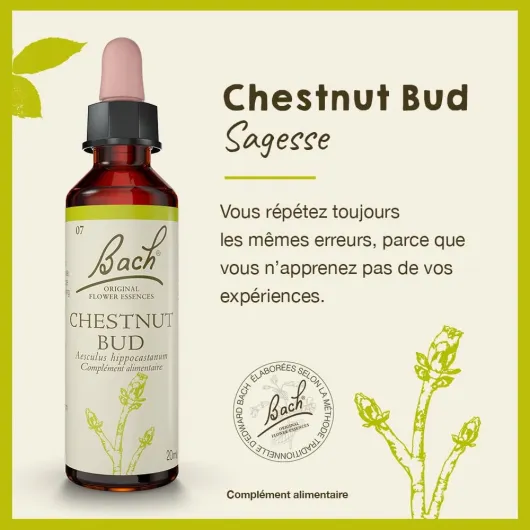 FLEURS DE BACH ORIGINAL - Chestnut Bud No 7 - Pour plus de sagesse - Aide à tirer les leçons de ses expériences - Élixir floral naturel pour le bien-être émotionnel - Compte-Gouttes 20ml - Vegan 20 ml (Lot de 1) Sagesse