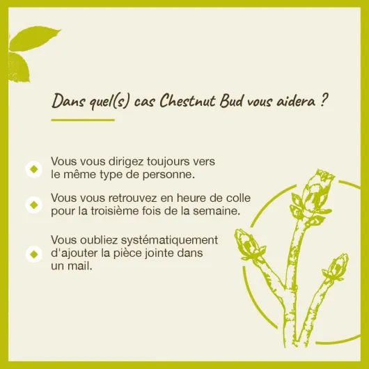 61ZNQTc8qUL._AC_SL1000_