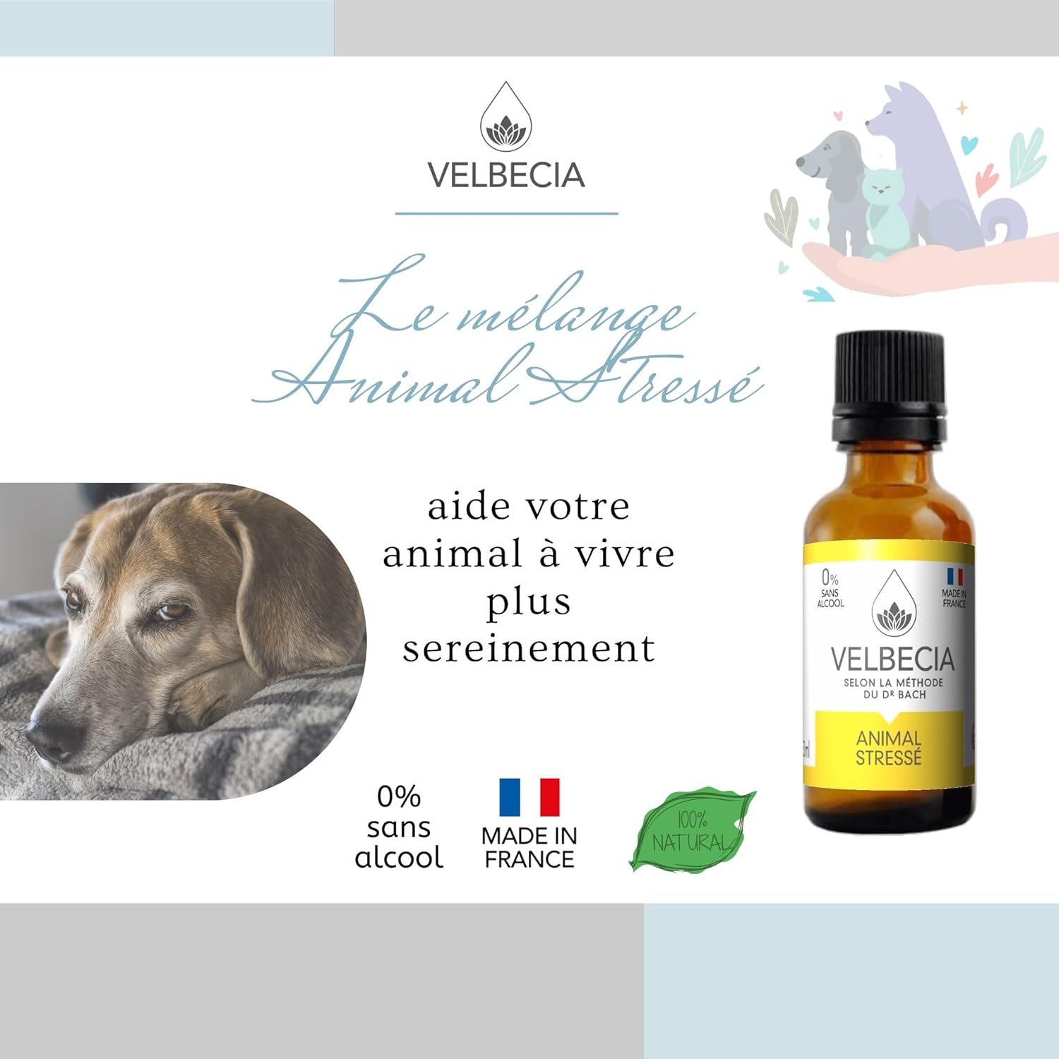 Animal stressé 50ml +1 OFFERT Elixirs de fleurs SANS ALCOOL - Méthode du Dr Bach - Peur panique,comportement anxieux,angoisse,agitation,nervosité,chien,chat,cheval