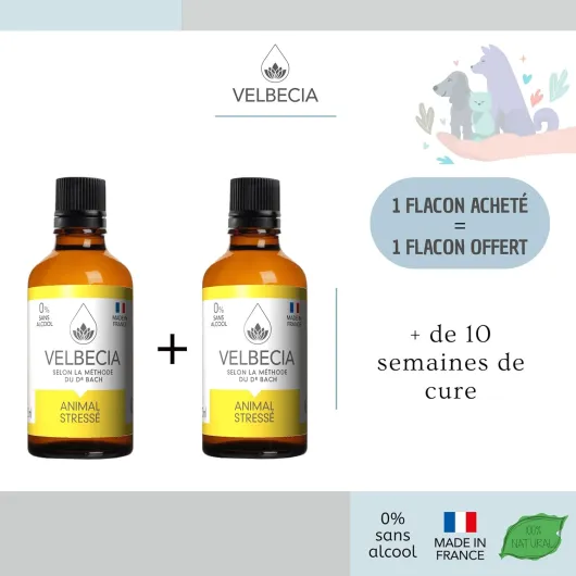 716-hO06NyL._AC_SL1500_