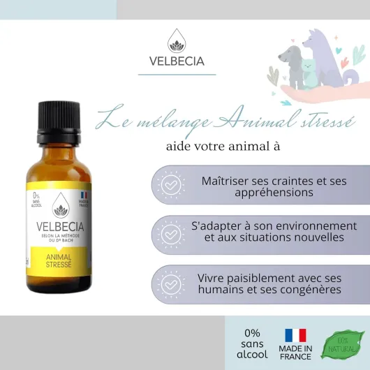 71psoALe7oL._AC_SL1500_