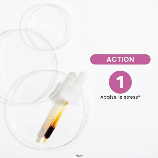 51wMVmUtXIL._AC_SL1400_