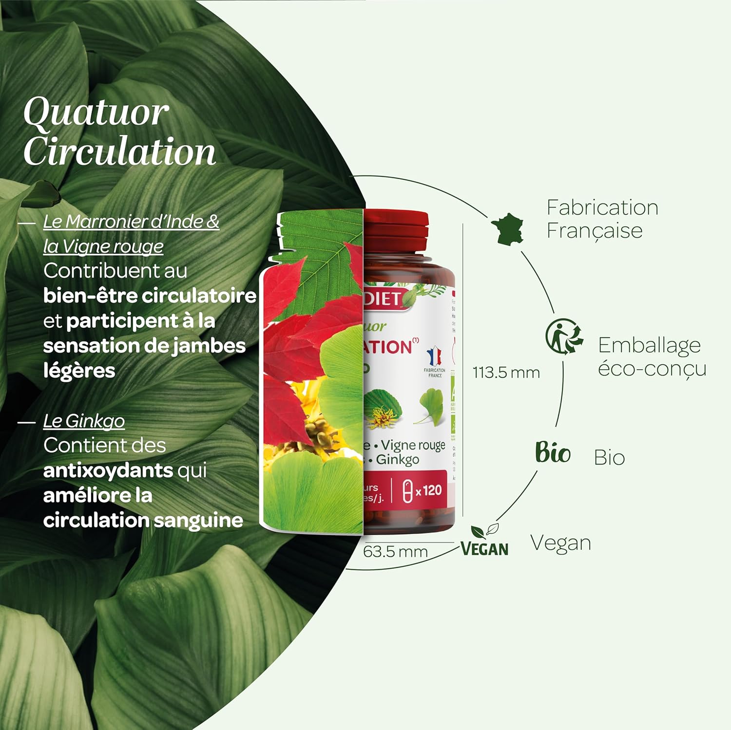QUATUOR CIRCULATION BIO – Phytothérapie – Fabrication Française – 120 gélules unflavoured 120 unité (Lot de 1)