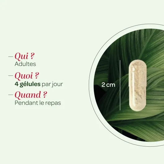 71aKnYv1S6L._AC_SL1500_