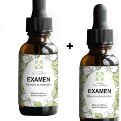Test Conseil fleur de Bach Examens : un petit coup de pouce pour rester calme avant les partiels
