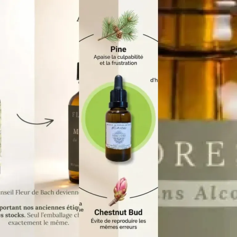 Guide d'achat : les 7 meilleurs fleurs de Bach pour la gestion des émotions (2026)