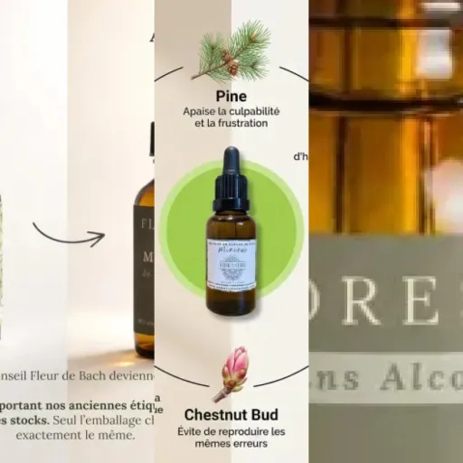 Guide d'achat : les 3 meilleurs fleurs de Bach pour la gestion des émotions (2026)