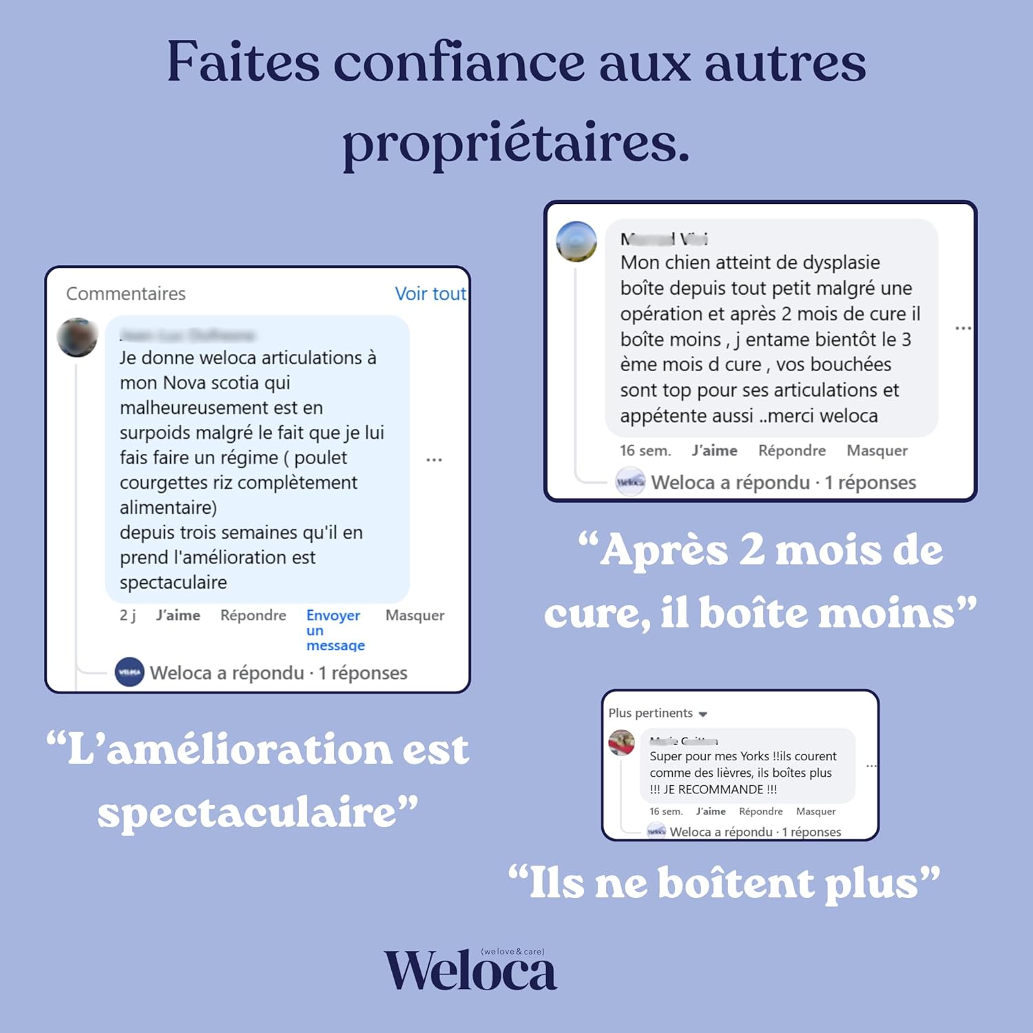 Arthrose Chien - 120 compléments Premium - 11 Actifs puissants hautement dosés (Moule Verte, harpagophytum, chondroïne, Glucosamine) - Anti-arthrose, mobilité retrouvée - Formule vétérinaire