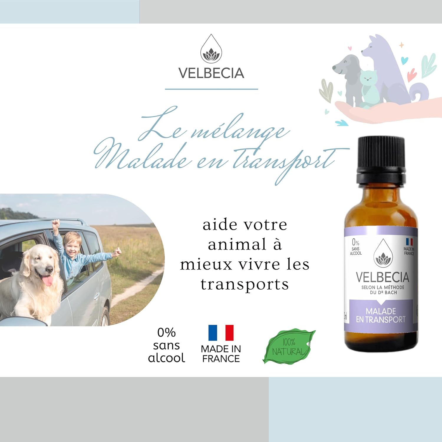Animal Malade en voiture 50ml +1 OFFERT Elixirs de fleurs SANS ALCOOL - Méthode du Dr Bach - Voyager plus sereinement, transport paisible, apaisé, chat, chien