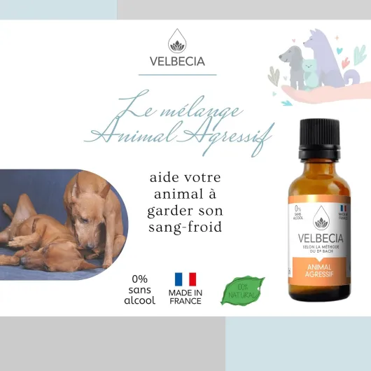 ® Animal agressif 50ml +1 OFFERT Elixirs de fleurs SANS ALCOOL - Méthode du Dr Bach - Dangereux, méchant, imprévisible, attaque, grogne