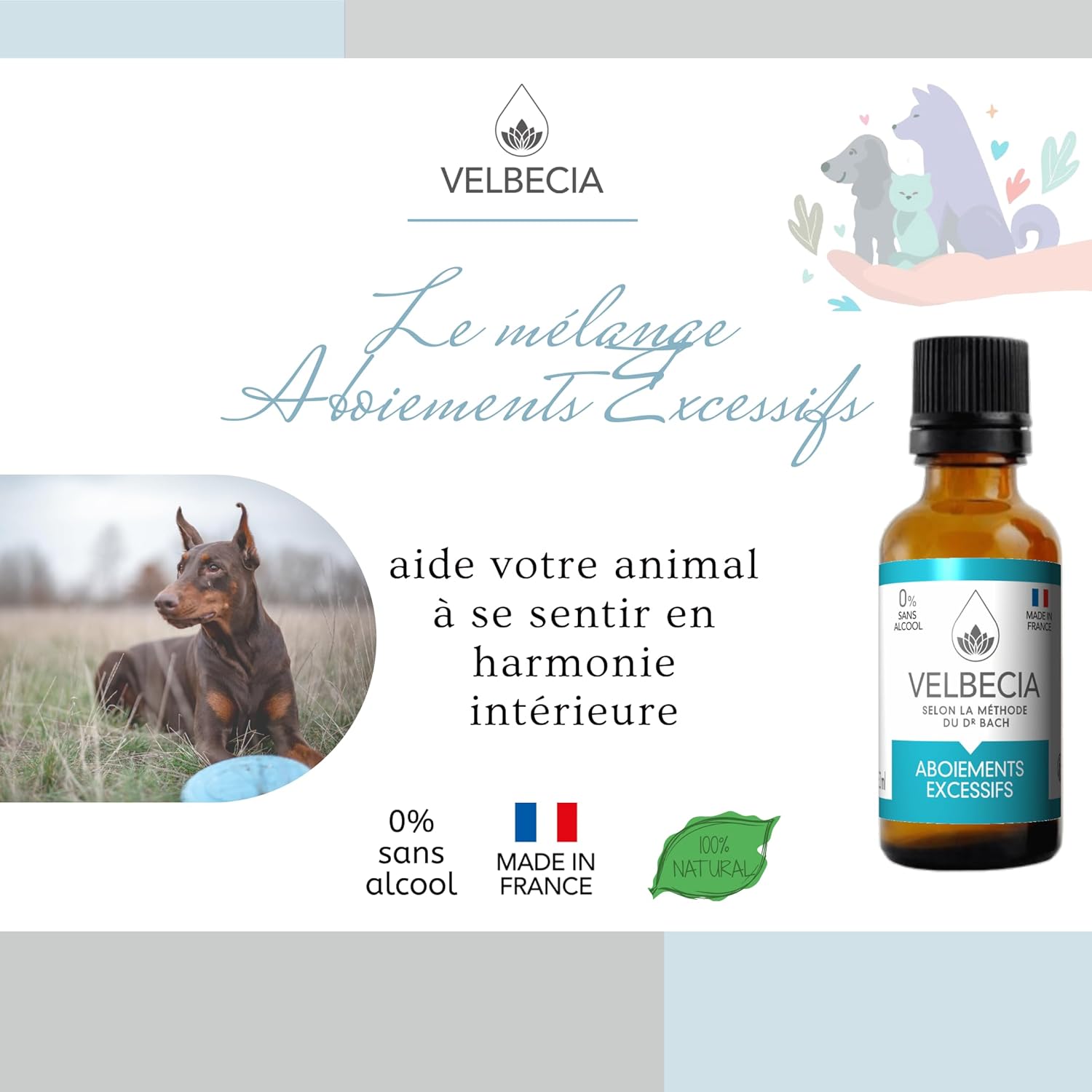 Aboiements excessifs 50ml +1 OFFERT Elixirs de fleurs SANS ALCOOL - Méthode du Dr Bach - Gêne le voisinage,hurle à la mort,impossible à calmer,bruyant,ne sait pas se taire