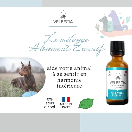 Aboiements excessifs 50ml +1 OFFERT Elixirs de fleurs SANS ALCOOL - Méthode du Dr Bach - Gêne le voisinage,hurle à la mort,impossible à calmer,bruyant,ne sait pas se taire