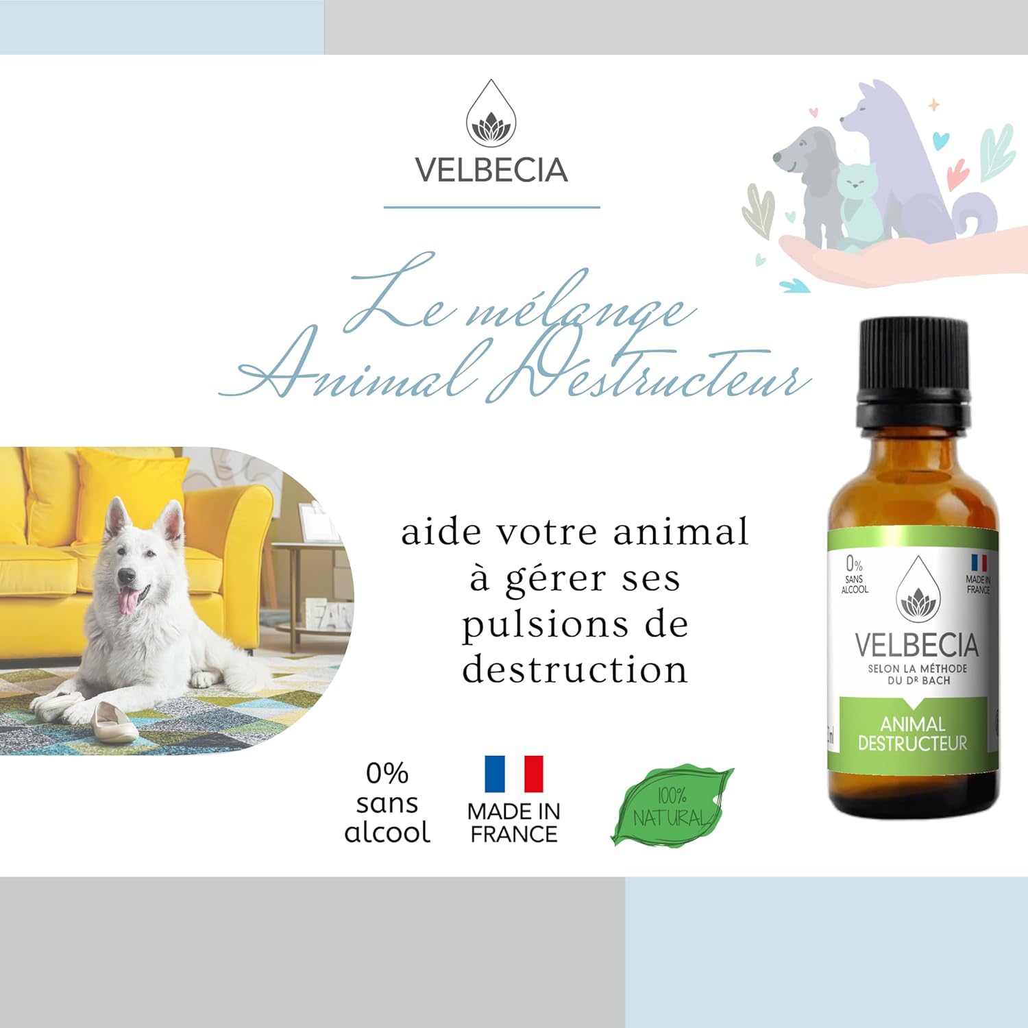 Animal destructeur 50ml +1 OFFERT Elixirs de fleurs SANS ALCOOL - Méthode du Dr Bach