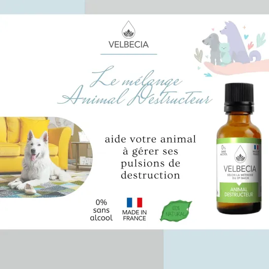 Animal destructeur 50ml +1 OFFERT Elixirs de fleurs SANS ALCOOL - Méthode du Dr Bach