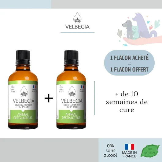 71UXCkrh44L._AC_SL1500_