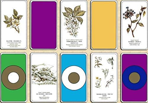 Coffret Harmonisation par Les Fleurs et Les Couleurs - 77 Cartes et Manuel - Comment se soigner par Les Fleurs