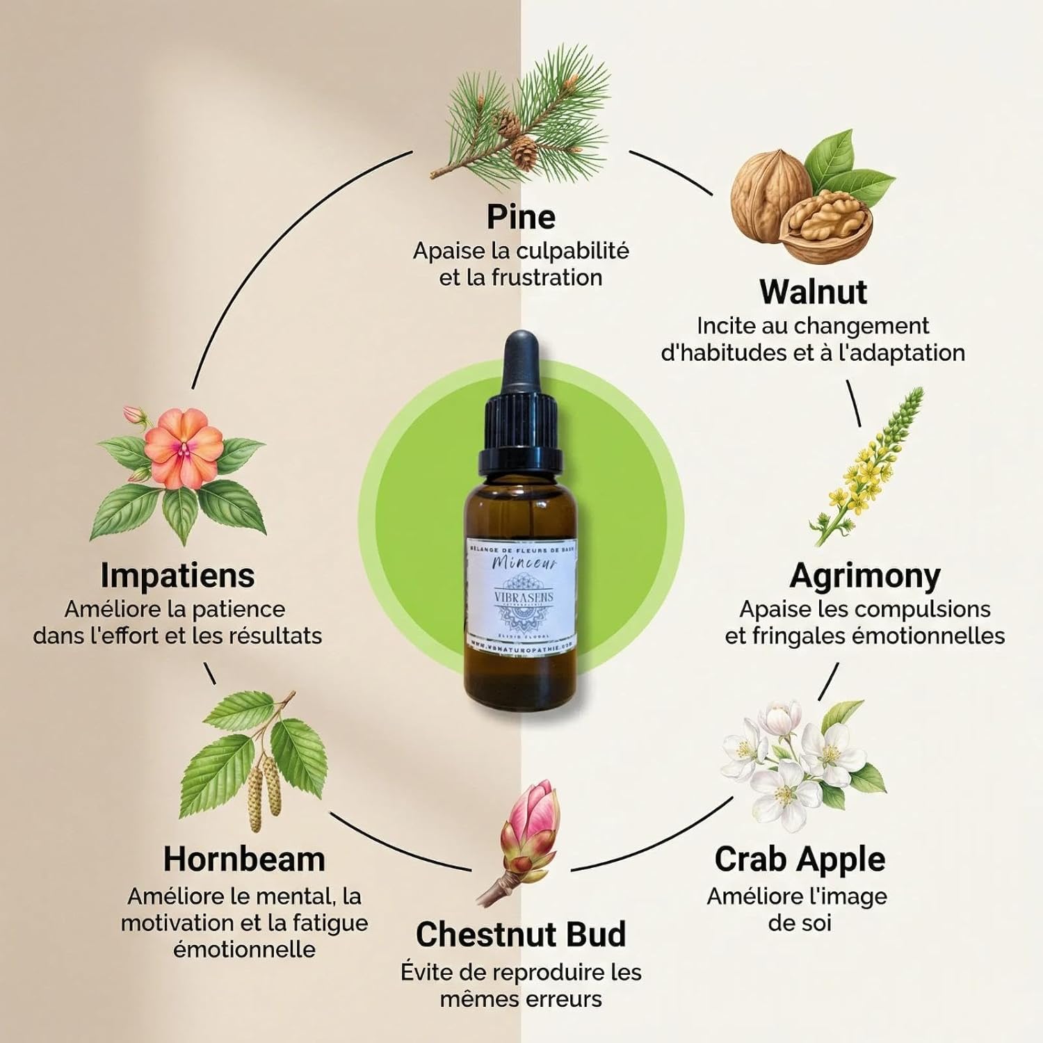Mélange de fleurs de bach Minceur VibraSens - 30 ml - Elixir floral de Bach - pour une silhouette retrouvée - 100% naturel - N°1 des élixirs Français naturopathique - efficacité en 4 semaines