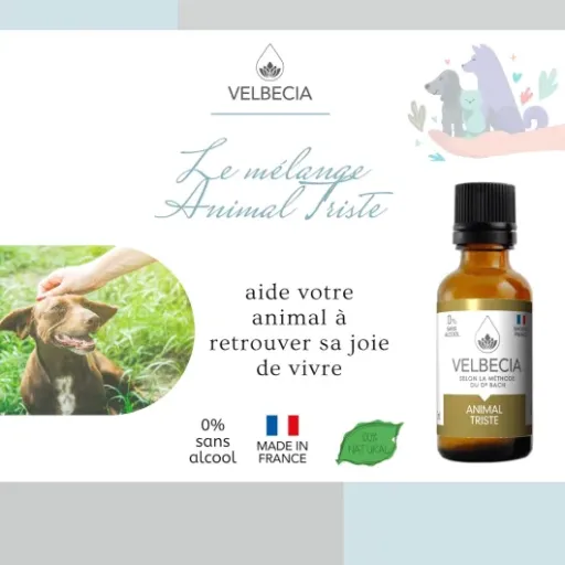 Test Velbecia Animal triste 50ml +1 OFFERT : des gouttes pour redonner un peu de peps à son animal