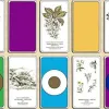 Test Coffret Harmonisation par Les Fleurs et Les Couleurs : un outil bien-être simple pour méditer et se poser
