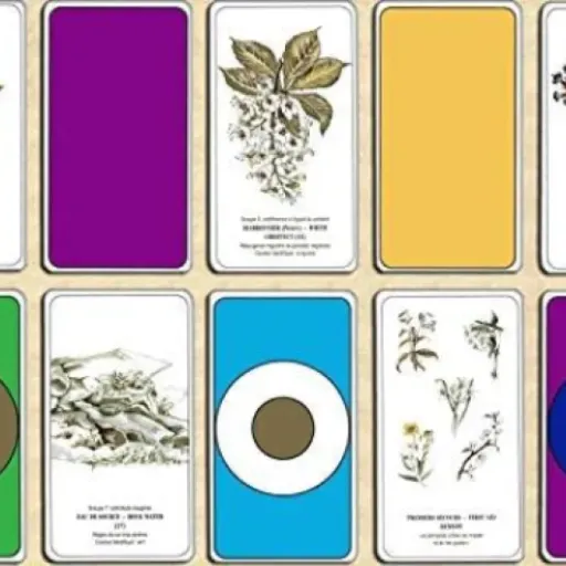 Test Coffret Harmonisation par Les Fleurs et Les Couleurs : un outil bien-être simple pour méditer et se poser