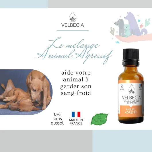 ® Animal agressif 30ml +1 OFFERT Elixirs de fleurs SANS ALCOOL - Méthode du Dr Bach - Dangereux, méchant, imprévisible, attaque, grogne
