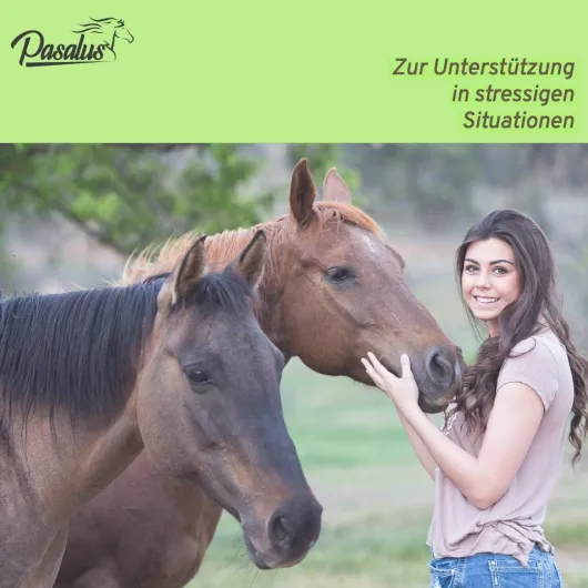61CdyvfDmwL._AC_SL1080_