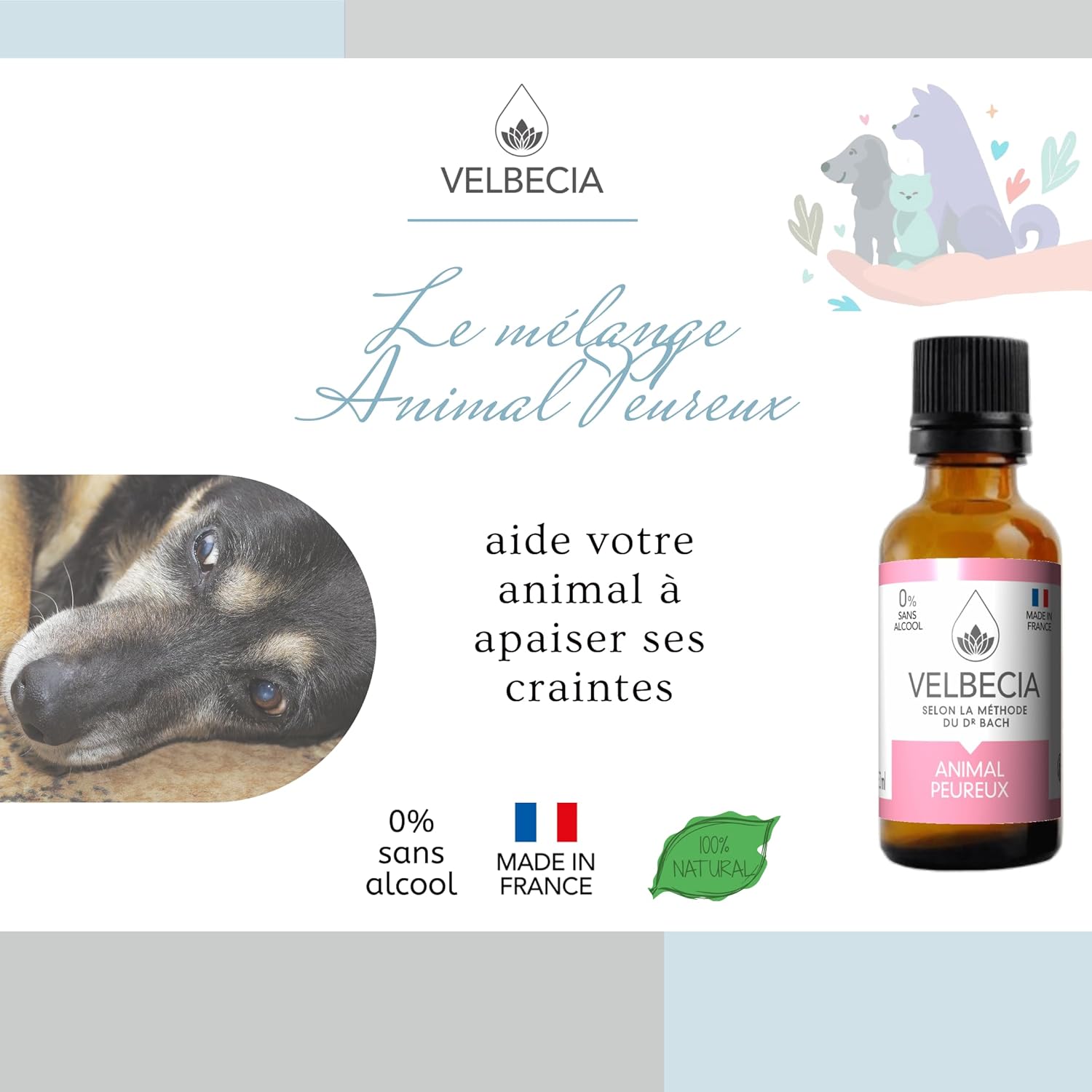 Animal peureux 30ml +1 OFFERT Elixirs de fleurs SANS ALCOOL - Méthode du Dr Bach - Bruits soudains, panique, orage, feux d'artifice, peur des humains, craintif