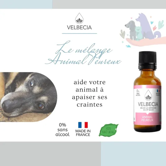 Animal peureux 30ml +1 OFFERT Elixirs de fleurs SANS ALCOOL - Méthode du Dr Bach - Bruits soudains, panique, orage, feux d'artifice, peur des humains, craintif