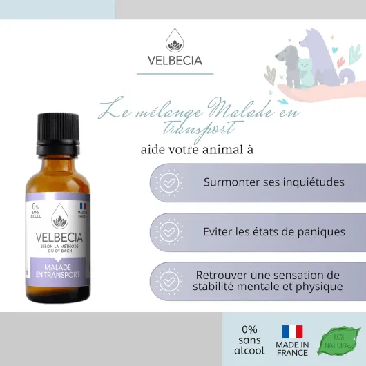 71ev NlxySL._AC_SL1500_