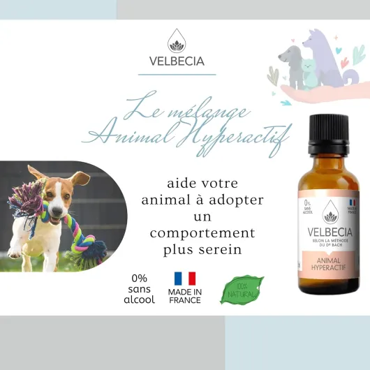 Animal hyperactif 50ml +1 OFFERT Elixirs de fleurs SANS ALCOOL - Méthode du Dr Bach - Calmer, apaiser, canaliser votre chat, chien avec sérénité