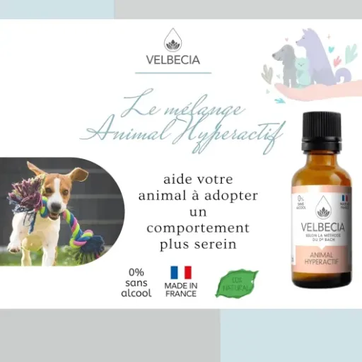 Test Velbecia Animal hyperactif : des gouttes censées calmer, mais effet très variable
