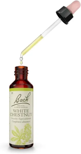 FLEURS DE BACH ORIGINAL - White Chestnut No 35 - Aide à la Sérénité de l'esprit et Clarté Mentale - Élixir Floral Naturel - Compte-Gouttes x 20 ml Vegan