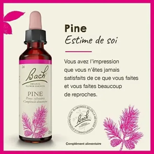 Test Fleurs de Bach Pine n°24 : le truc pour culpabiliser un peu moins au quotidien