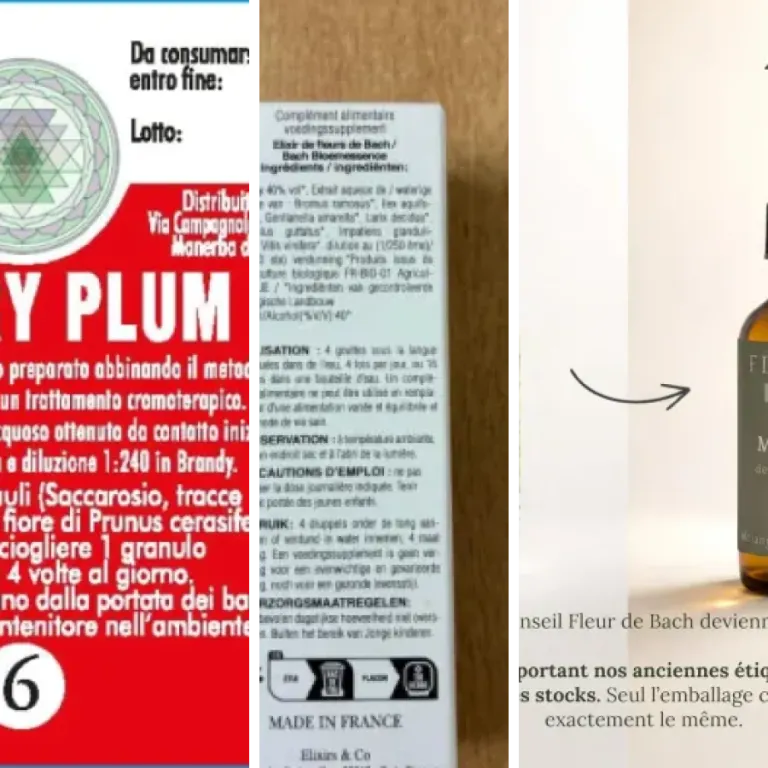 Top 5 : meilleurs fleurs de Bach pour adolescents (septembre 2026)