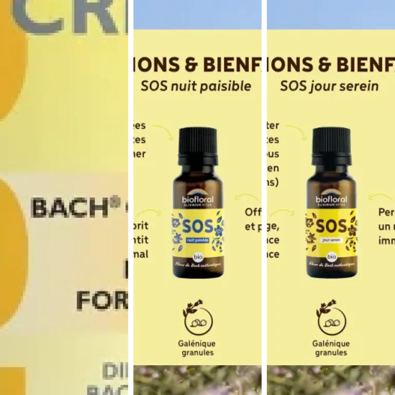 Les meilleurs fleurs de Bach pour toute la famille : notre top 4 (2026)