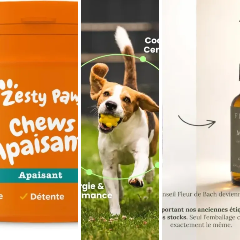Quel fleurs de Bach pour chiens choisir ? Top 8 (2026)