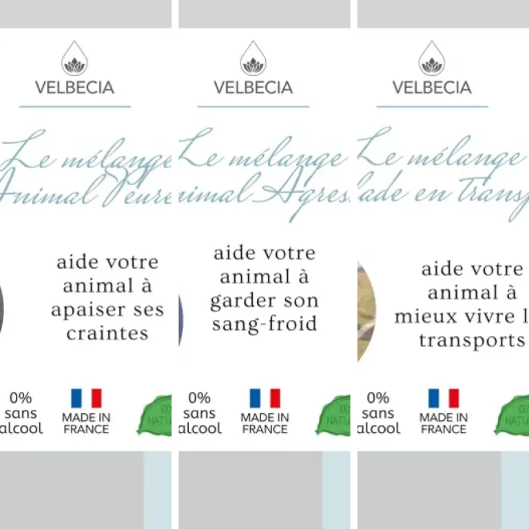 Top 8 des meilleurs fleurs de Bach pour chevaux (2026)