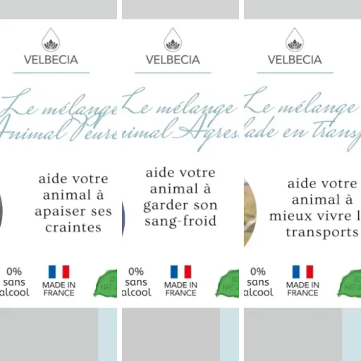 Top 8 des meilleurs fleurs de Bach pour chevaux (juin 2026)