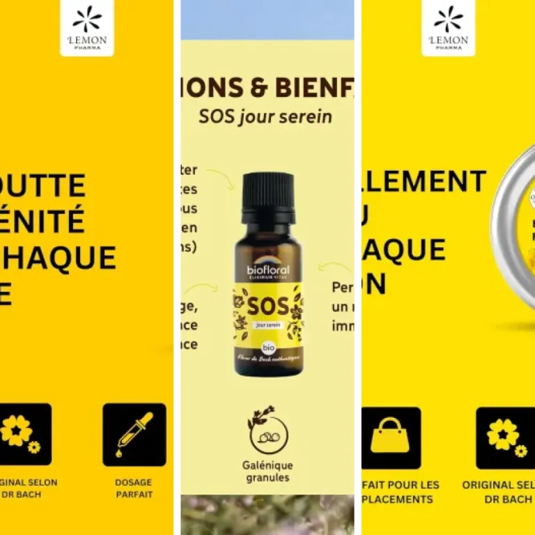 Guide d'achat : les 5 meilleurs fleurs de Bach bio certifiées (2026)