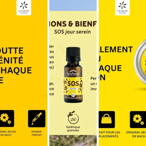 Guide d'achat : les 5 meilleurs fleurs de Bach bio certifiées (juin 2026)