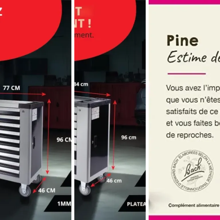 Les meilleurs kits de fleurs de Bach pour praticiens : notre top 8 (2026)