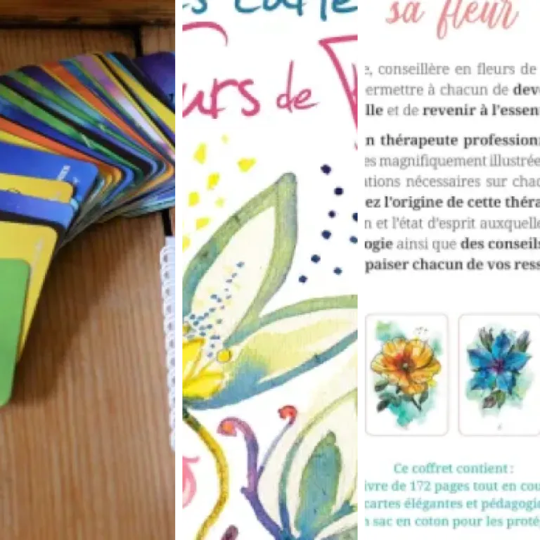 8 meilleurs cartes descriptives fleurs de Bach : notre comparatif (2026)