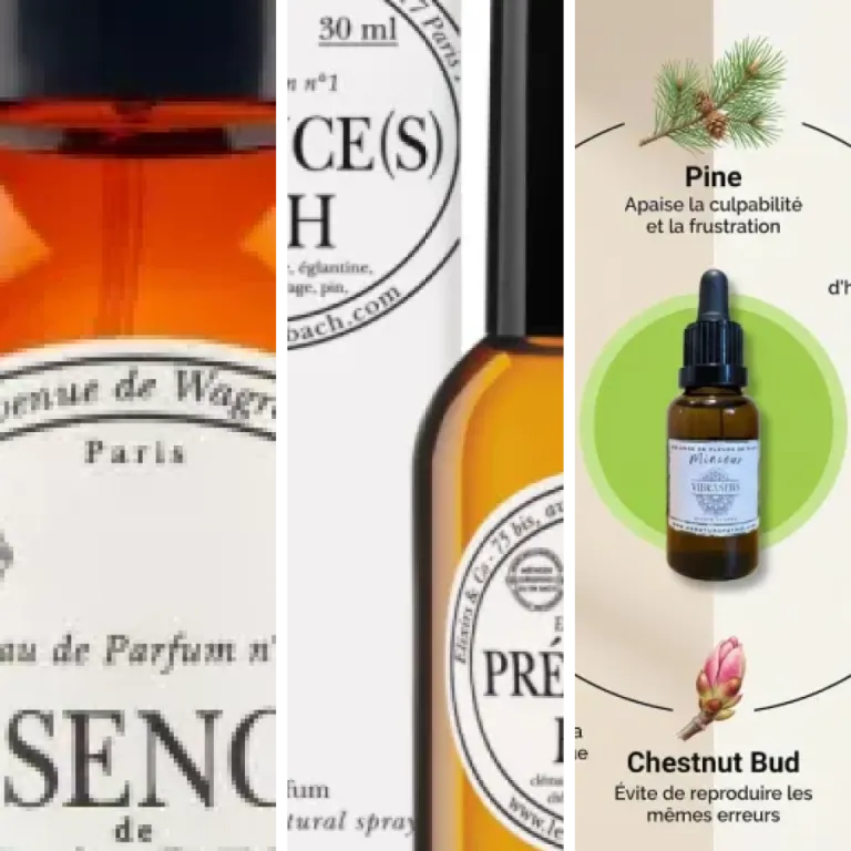 Comparatif des 8 meilleurs fleurs de Bach haut de gamme (2026)
