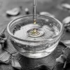 Effet placebo ou mécanisme subtil ? Ce que la science dit vraiment des Fleurs de Bach en 2026
