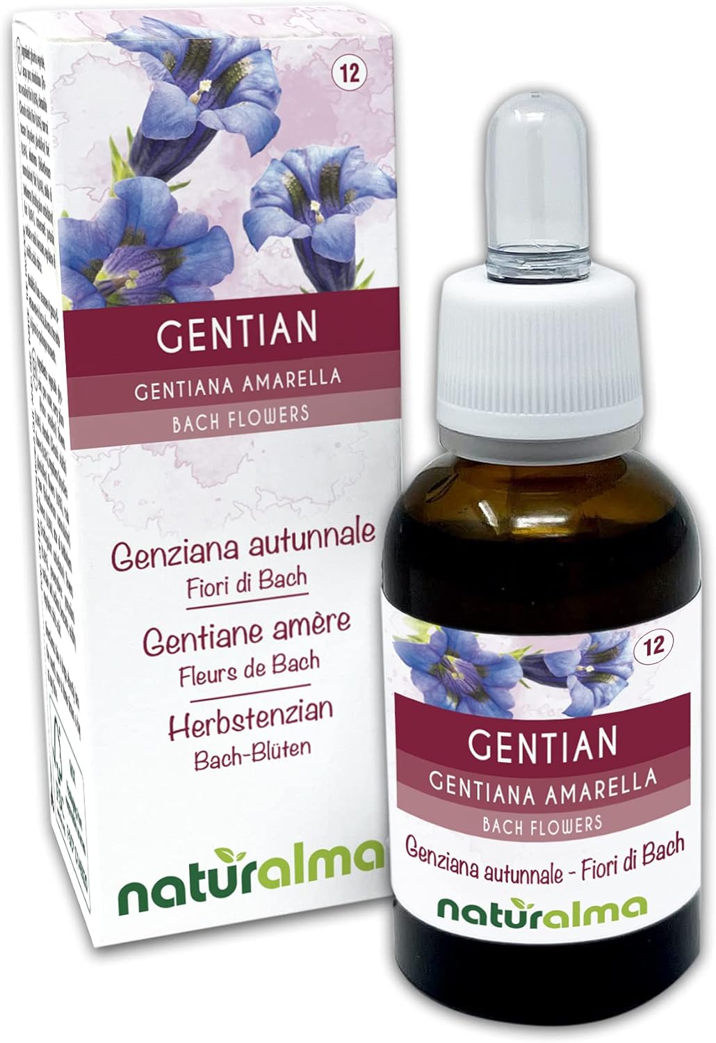 Gentian ou Gentiane amère (Gentiana amarella) Fleurs de Bach Naturalma - Gouttes 30 ml - Extrait liquide sans alcool - Essences florales - Vegan et sans alcool