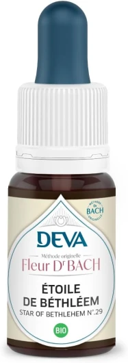 Etoile de Bethléem Bio - n°29-15ml