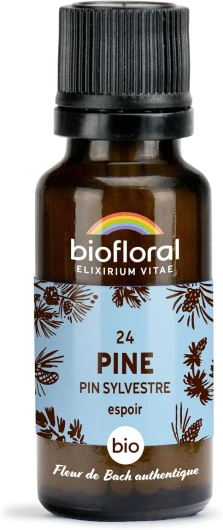 BIOFLORAL - 24 Pine, Pin Sylvestre BIO - Espoir - Fleur de Bach Authentique - 470 Granules - Sans Alcool