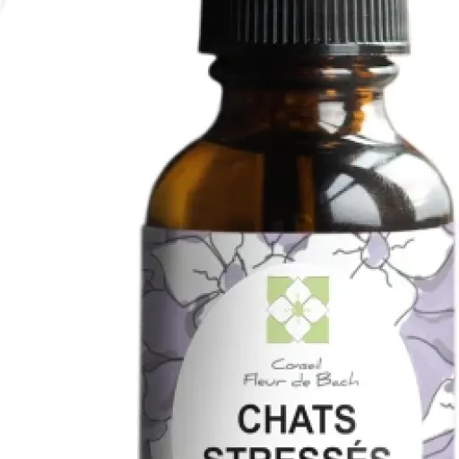 Test Conseil fleur de Bach Chat stressé : des gouttes naturelles qui calment… ou pas selon le chat